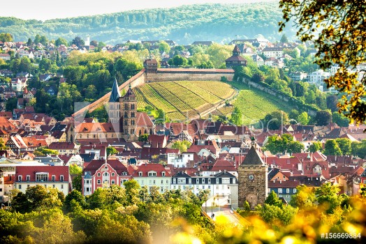 Bild på view of Esslingen am Neckar Germany with castle